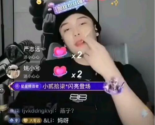 有点料官网 网红黑料是什么意思,网络舆论背后的真相与影响